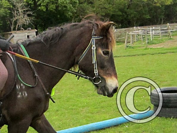 Karen and Dangel (18)