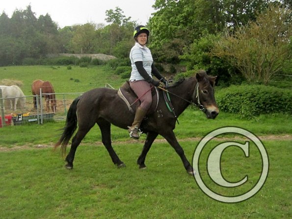 Karen and Dangel (5)