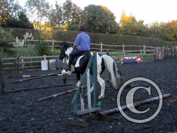 JD trotting poles (13)