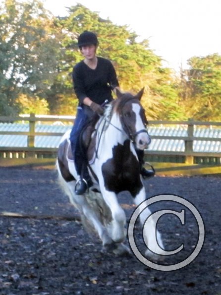 Lance canter (4)