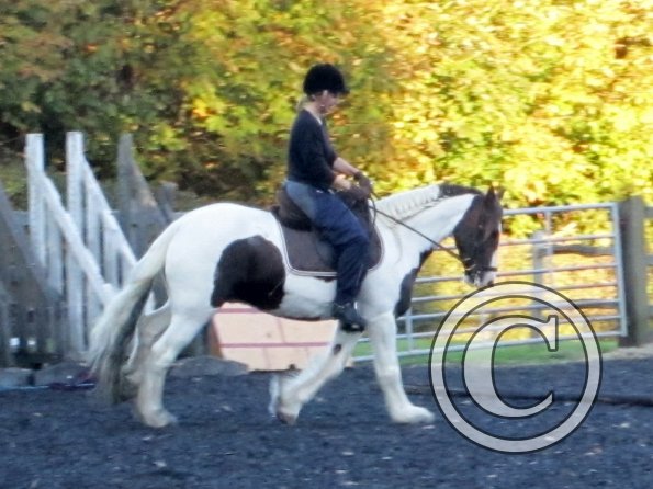 Lance canter (5)