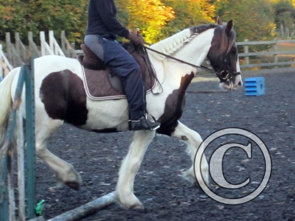 Lance lifting shoulder (4)