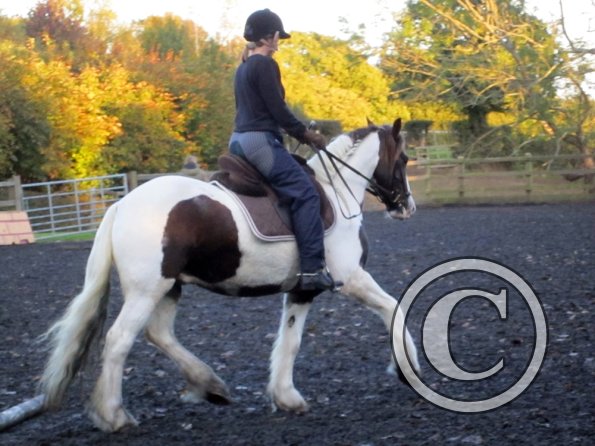 Lance lifting shoulder (6)