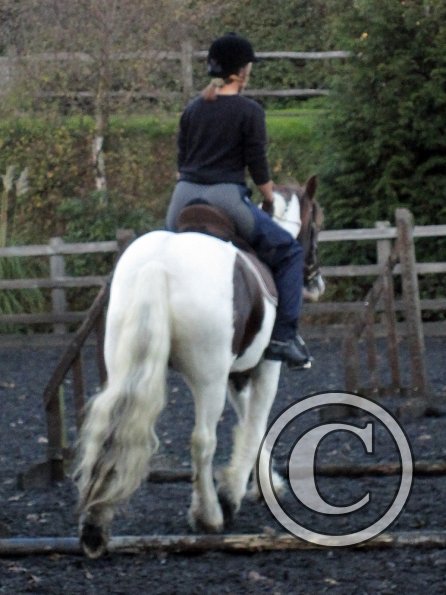 Lance trotting poles (10)