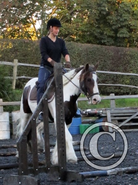 Lance trotting poles (13)