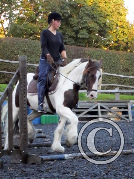 Lance trotting poles (14)