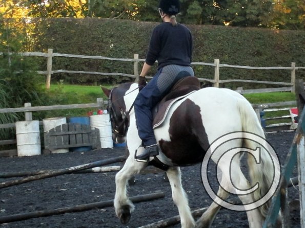 Lance trotting poles (15)