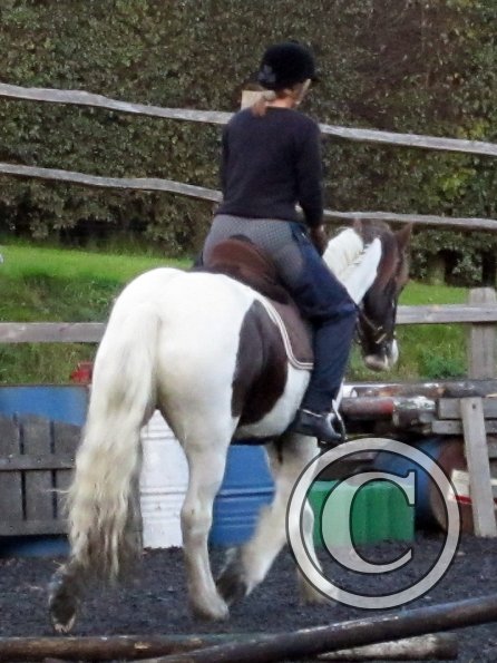 Lance trotting poles (18)