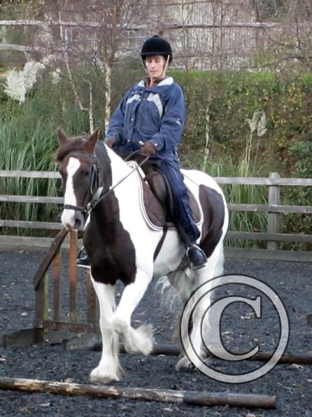 Lance trotting poles (2)