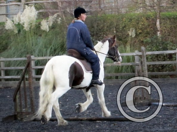 Lance trotting poles (3)