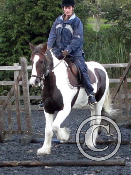 Lance trotting poles (6)