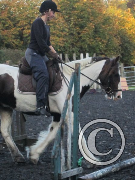 Lance trotting poles