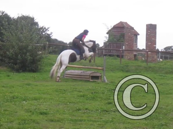 vlcsnap-2012-09-02-19h20m26s104