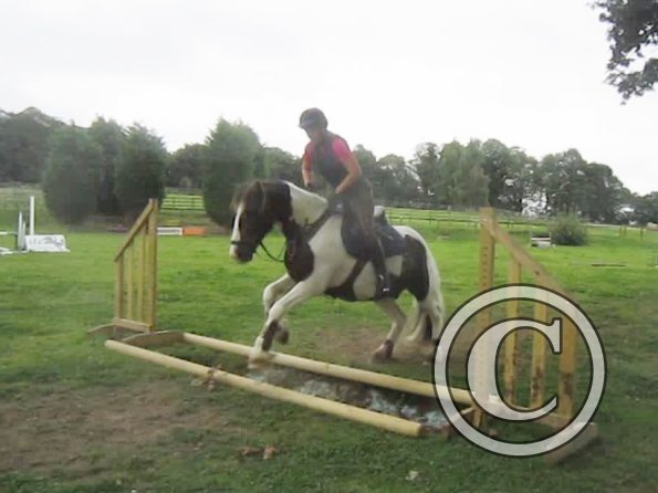 vlcsnap-2012-09-02-19h21m20s134