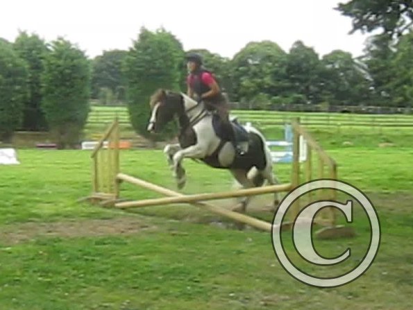 vlcsnap-2012-09-02-19h24m19s127