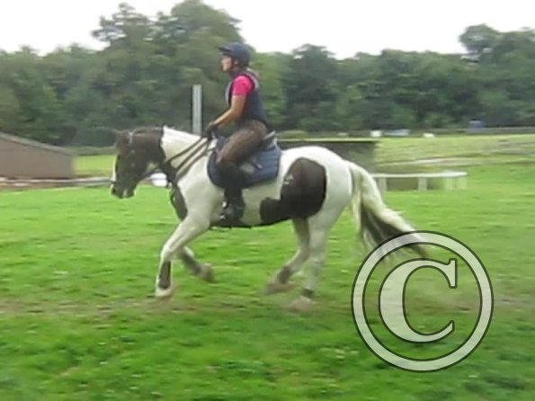 vlcsnap-2012-09-02-19h24m23s166