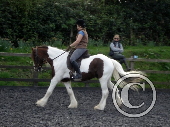 Warm up in walk - blurry (10)