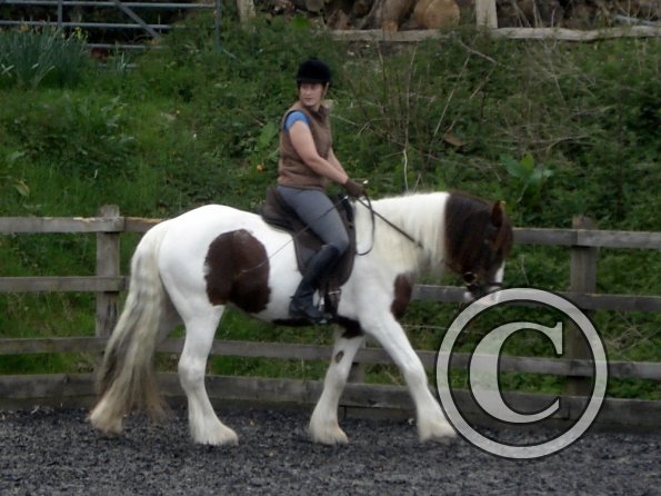 Warm up in walk - blurry (11)