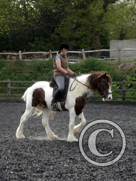 Warm up in walk - blurry (12)