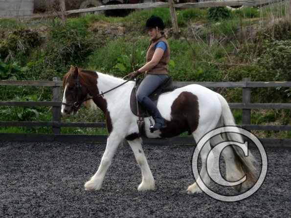 Warm up in walk - blurry (2)