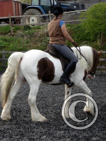 Warm up in walk - blurry (4)