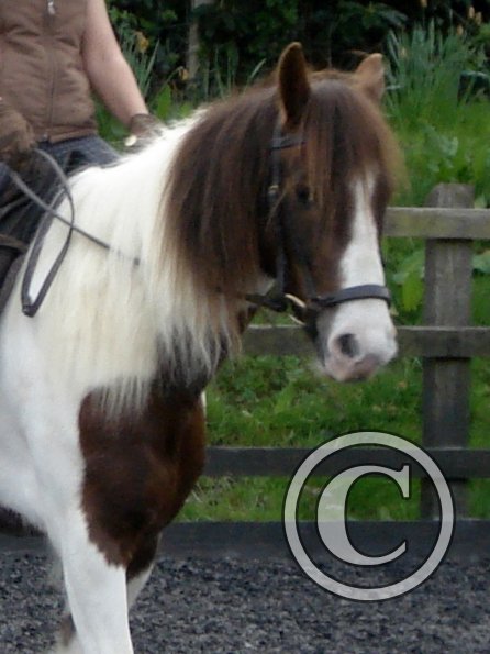 Warm up in walk - blurry (5)