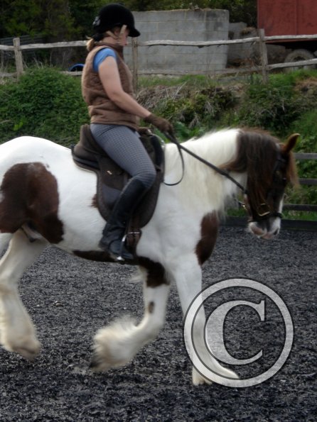 Warm up in walk - blurry (6)