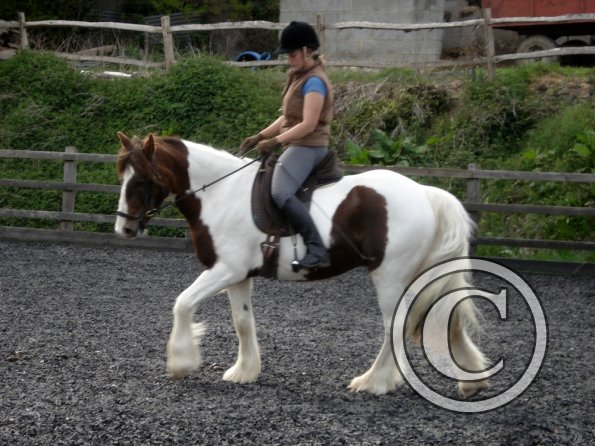 Warm up in walk - blurry (7)