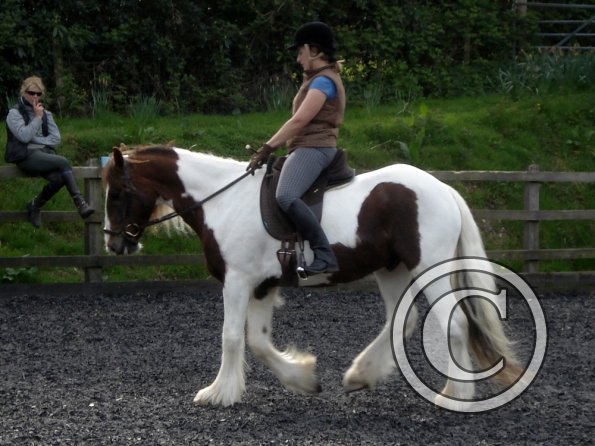 Warm up in walk - blurry (8)