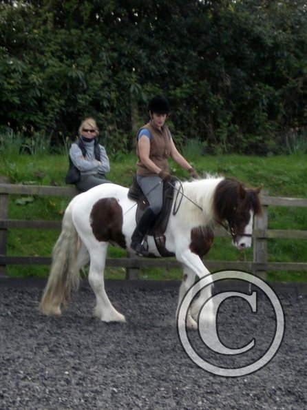 Warm up in walk - blurry (9)