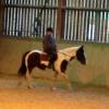 Fee flatwork (2)