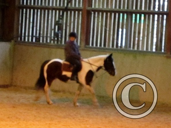 Fee flatwork (2)