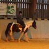 Fee flatwork (3)