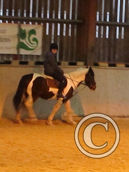 Fee flatwork (3)