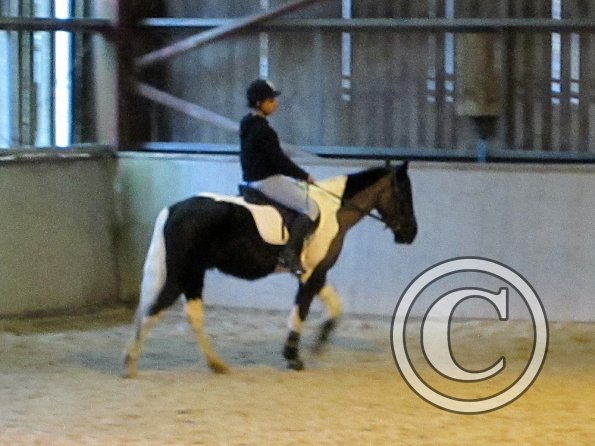 Sita flatwork