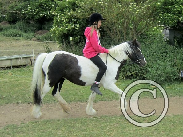 Libby and Willow (11)