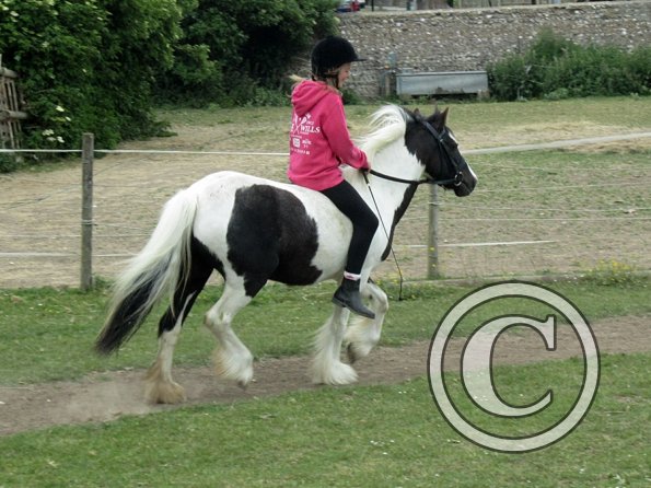 Libby and Willow (12)