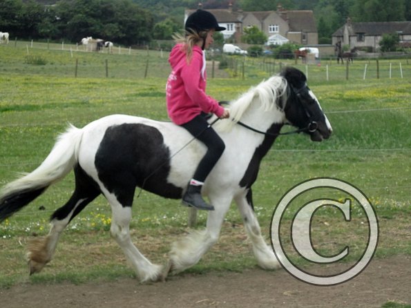 Libby and Willow (16)