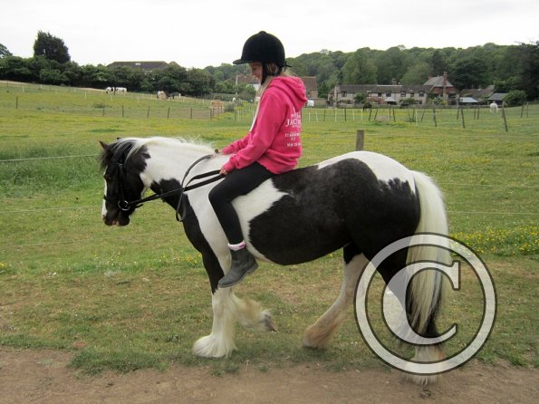 Libby and Willow (2)