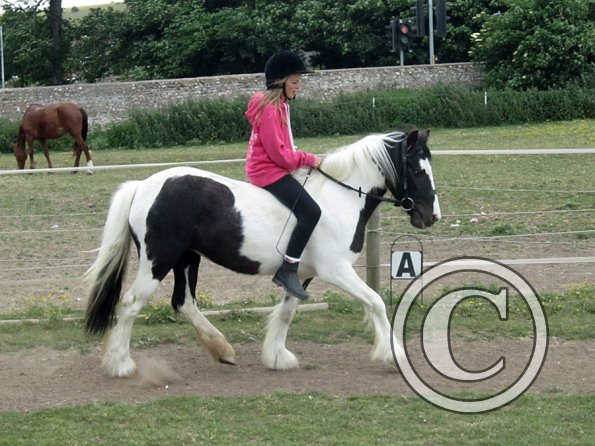 Libby and Willow (22)