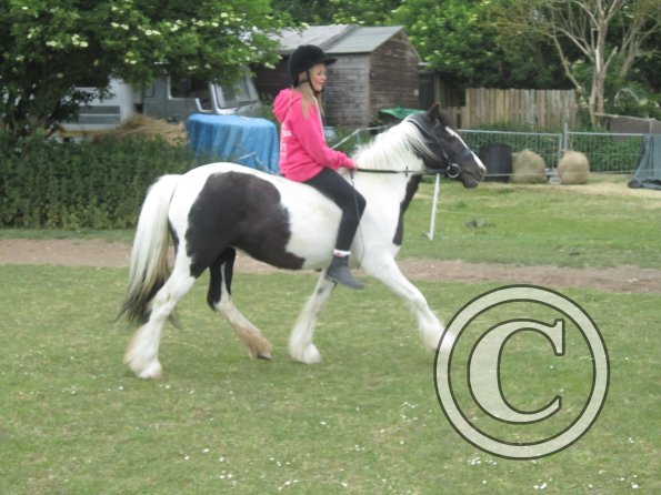 Libby and Willow (24)