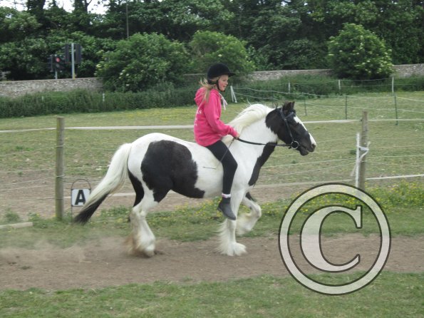 Libby and Willow (25)