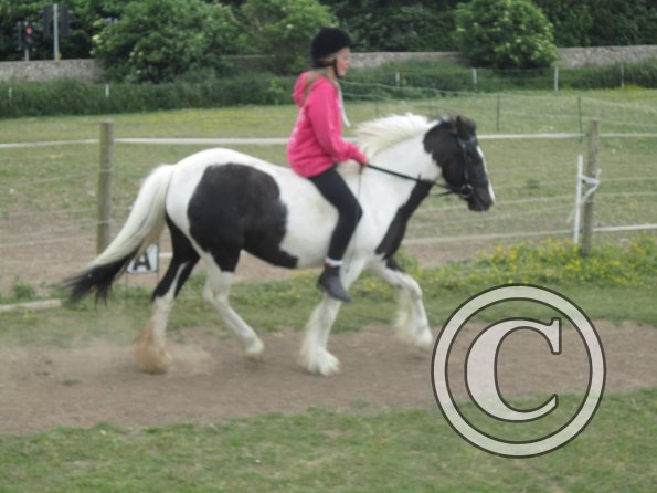 Libby and Willow (26)