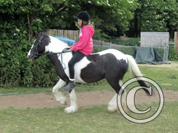 Libby and Willow (29)