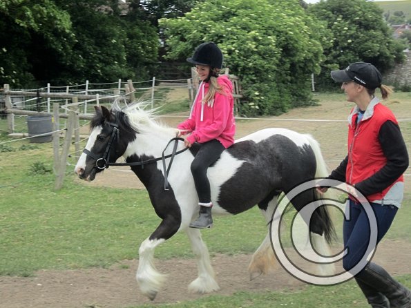 Libby and Willow (6)