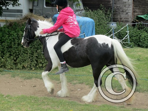 Libby and Willow (9)