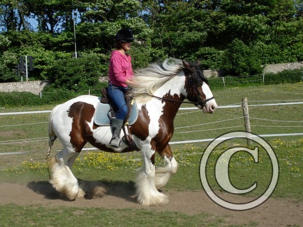 Lucy and Louise (12)