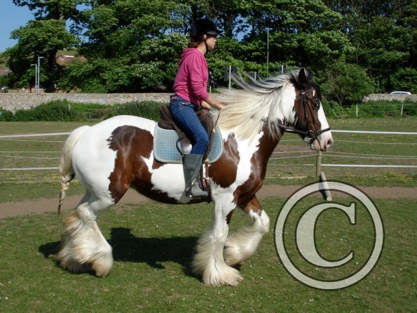 Lucy and Louise (14)