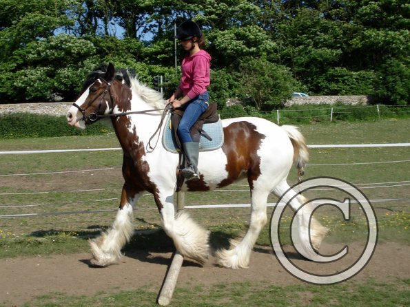 Lucy and Louise (15)