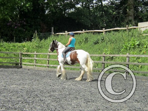 Lucy 1 warming up (12)